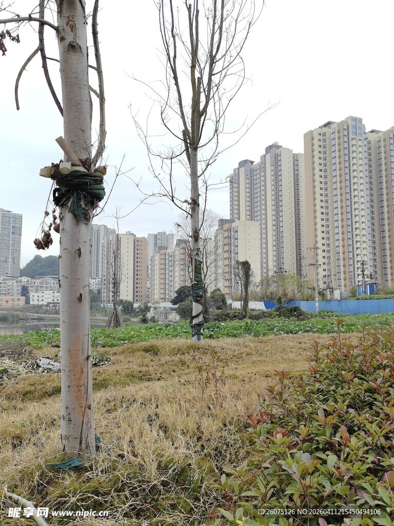 城郊荒地旁的林立高楼