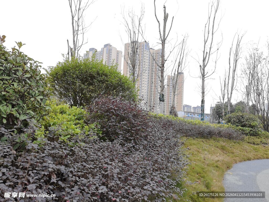 城市边的绿植与小径景观