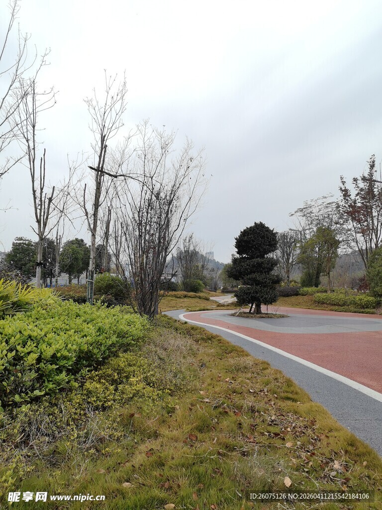 城市公园中的多彩步道景观