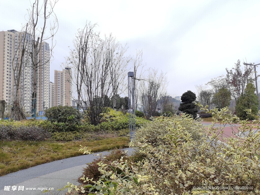 城市旁的宁静花草小径