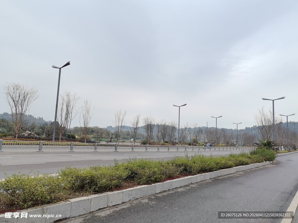 空旷道路旁的绿植与路灯