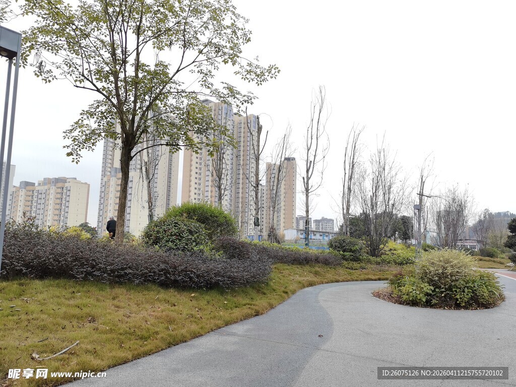 城市公园中的宁静小径