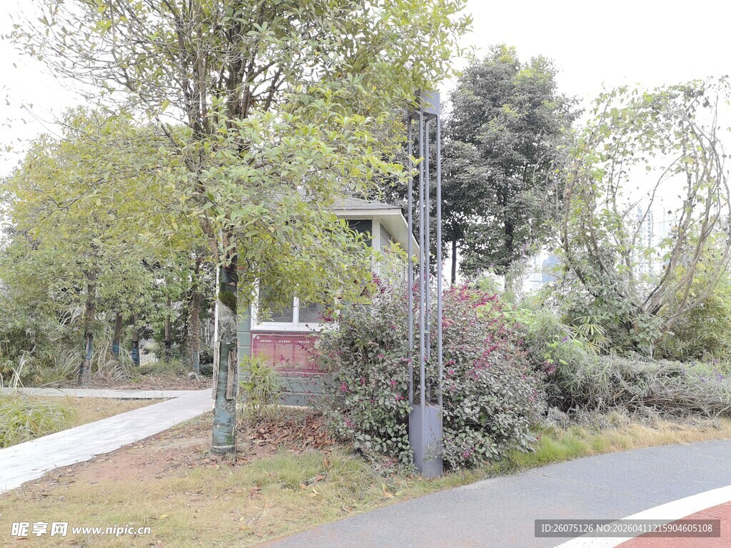 城市公园中的绿化景致