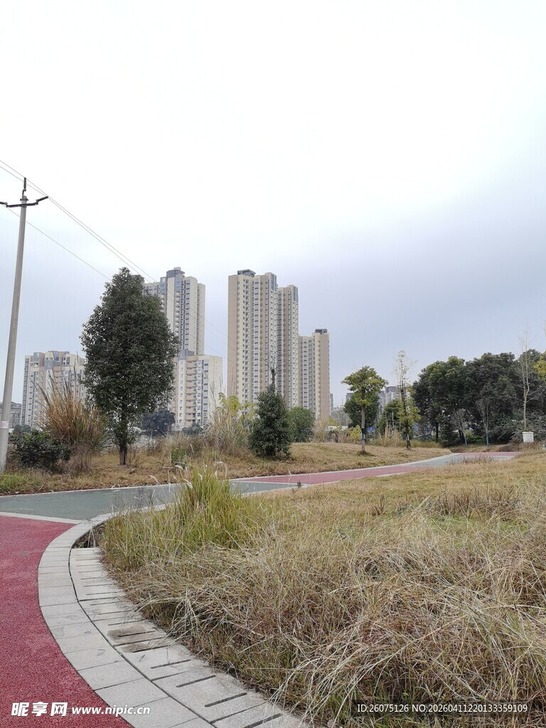 城市路边风景与红道