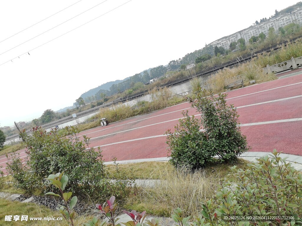 校园操场周边绿植景观