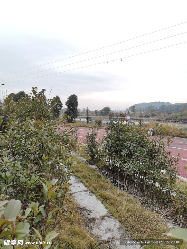乡村田园小路与绿植景观