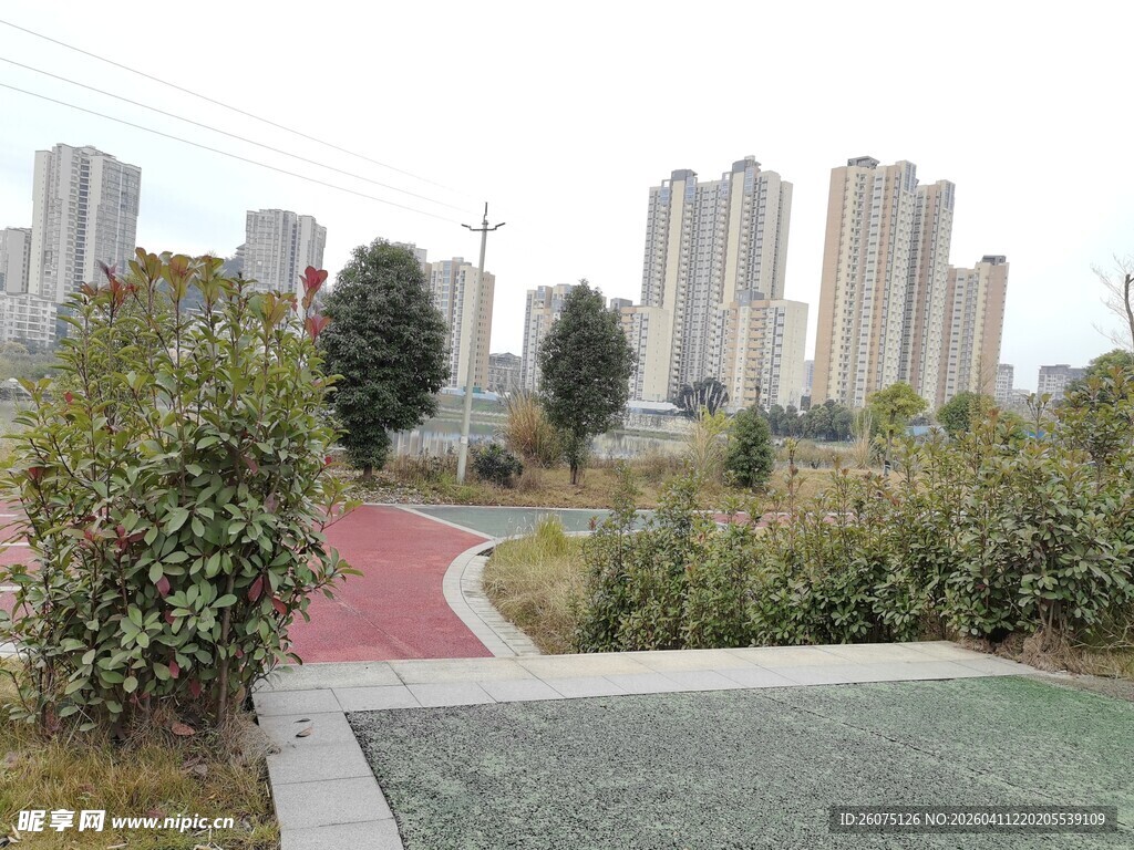 城市中的静谧小径景观