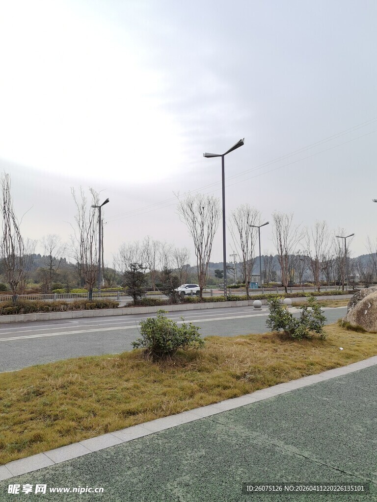 城市道路旁的绿化景观