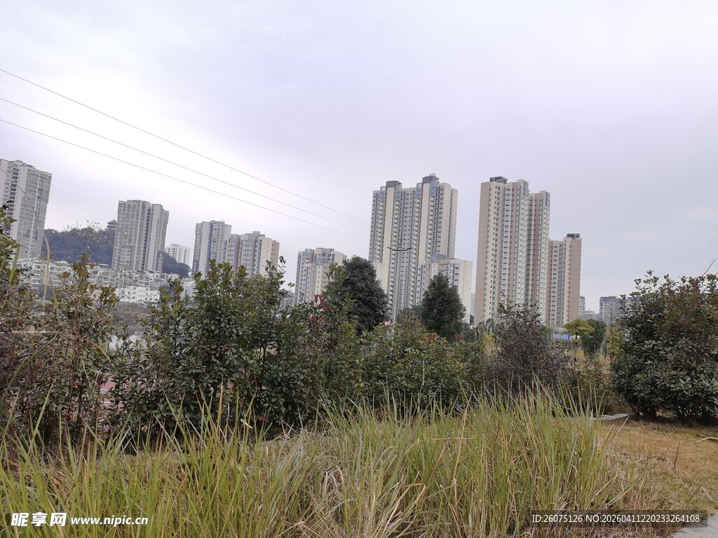 城市高楼旁的绿植景观