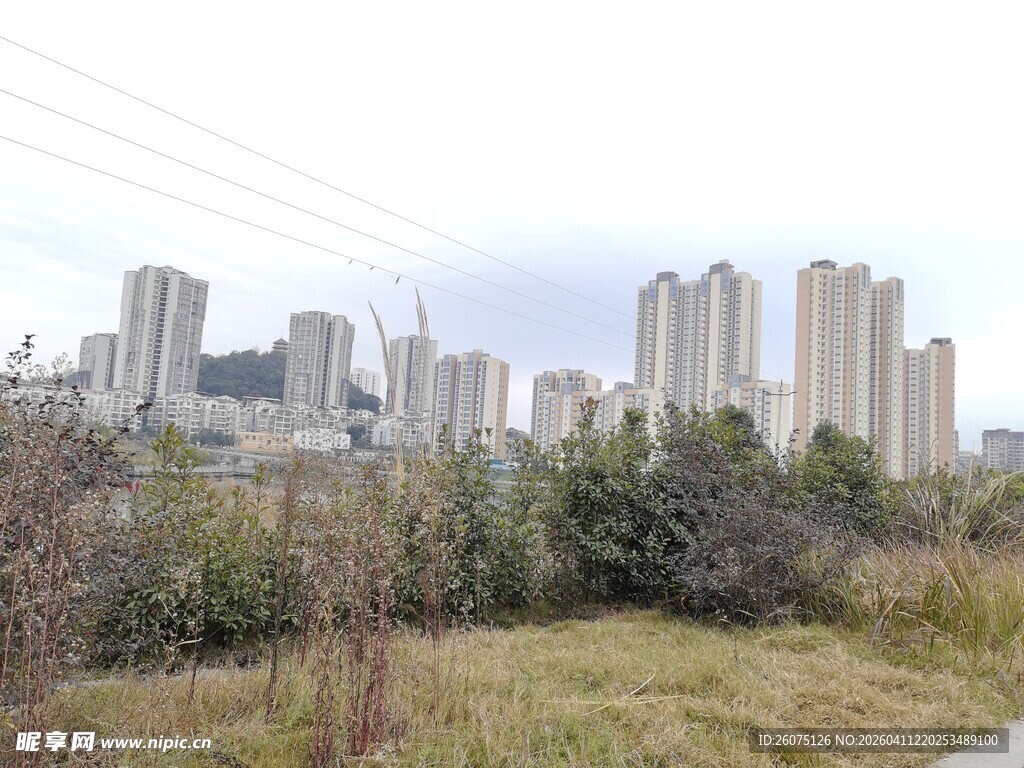 城郊绿植旁的高层住宅楼