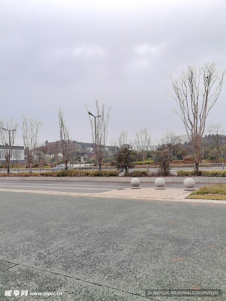 空旷停车场与远处树木