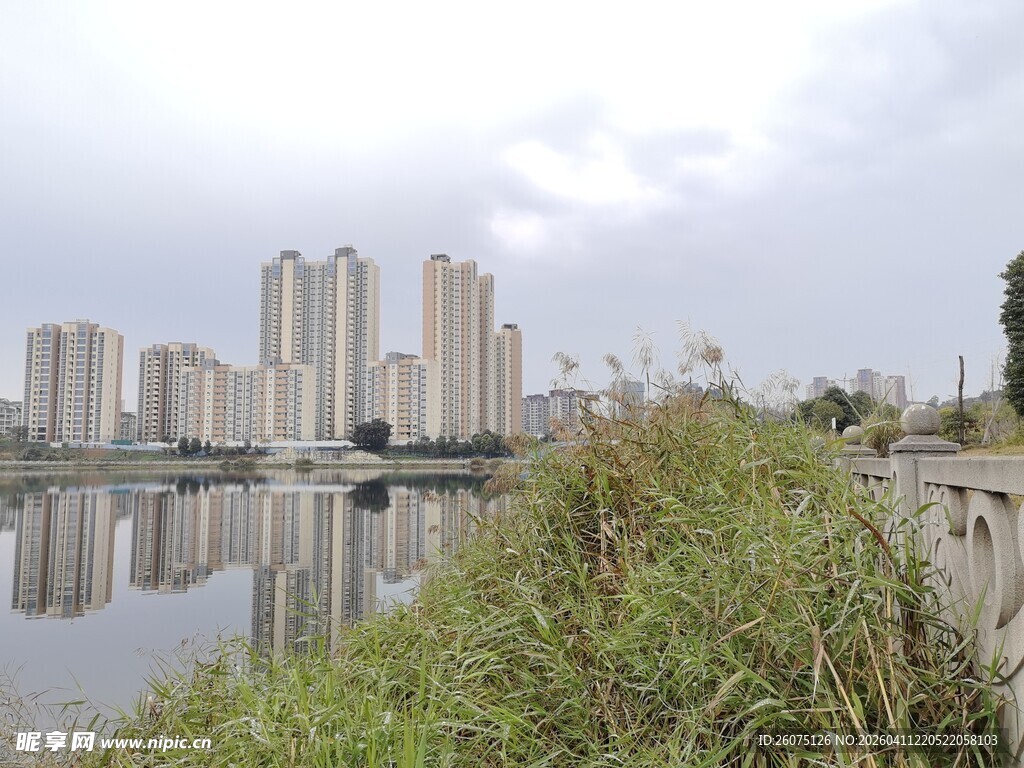 河畔高楼与绿植景观