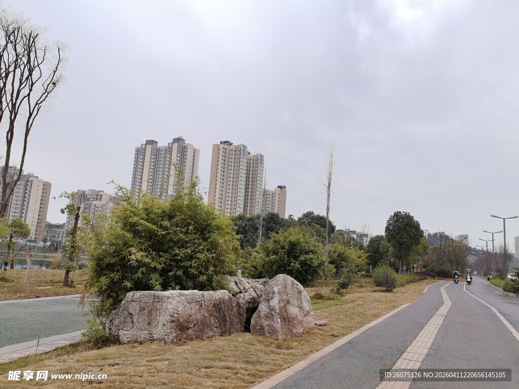 城市路旁景观与绿植