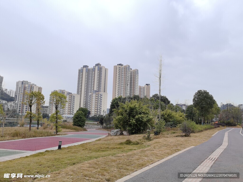 城市公园中的宽阔道路景观