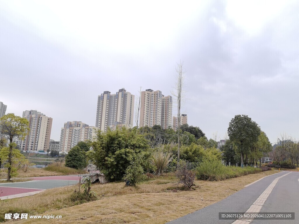 城市道路旁的高楼与绿植