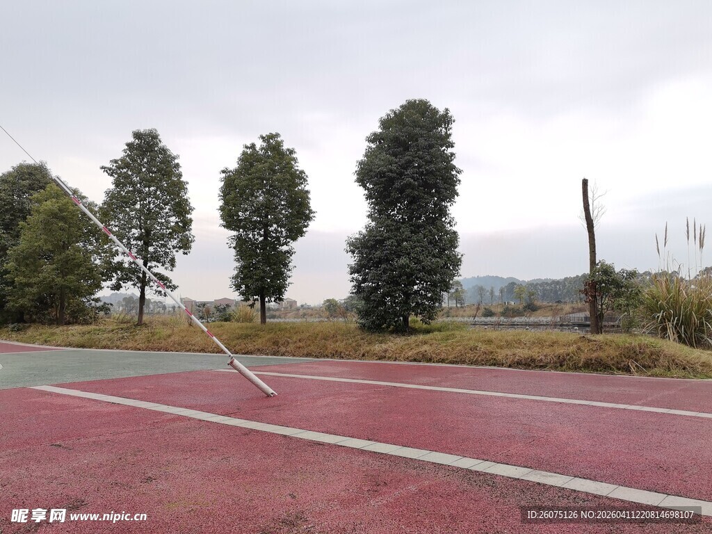 户外彩色路面与树木景观