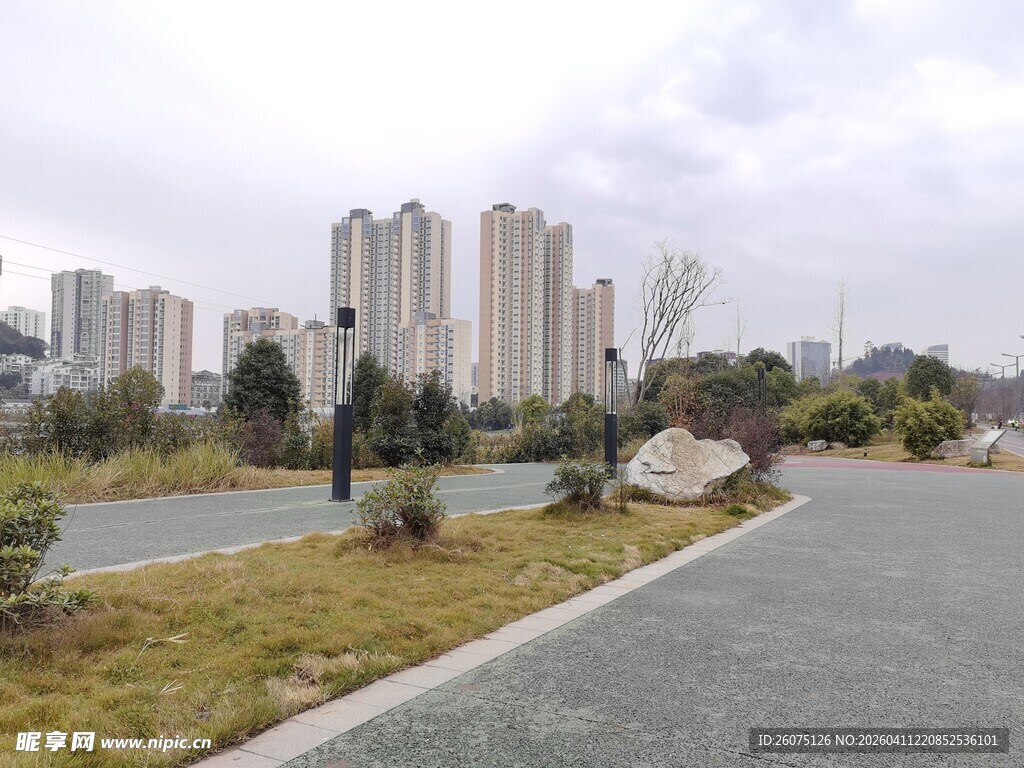 城市道路旁的高楼与绿化