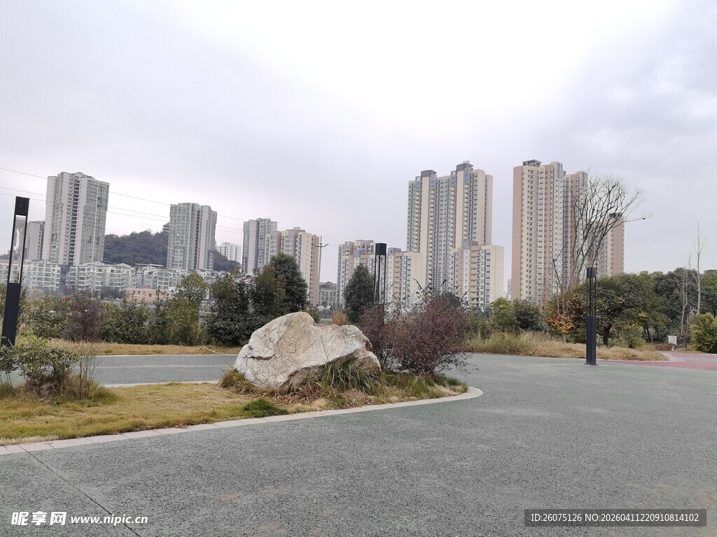 城市公园边的高楼景观