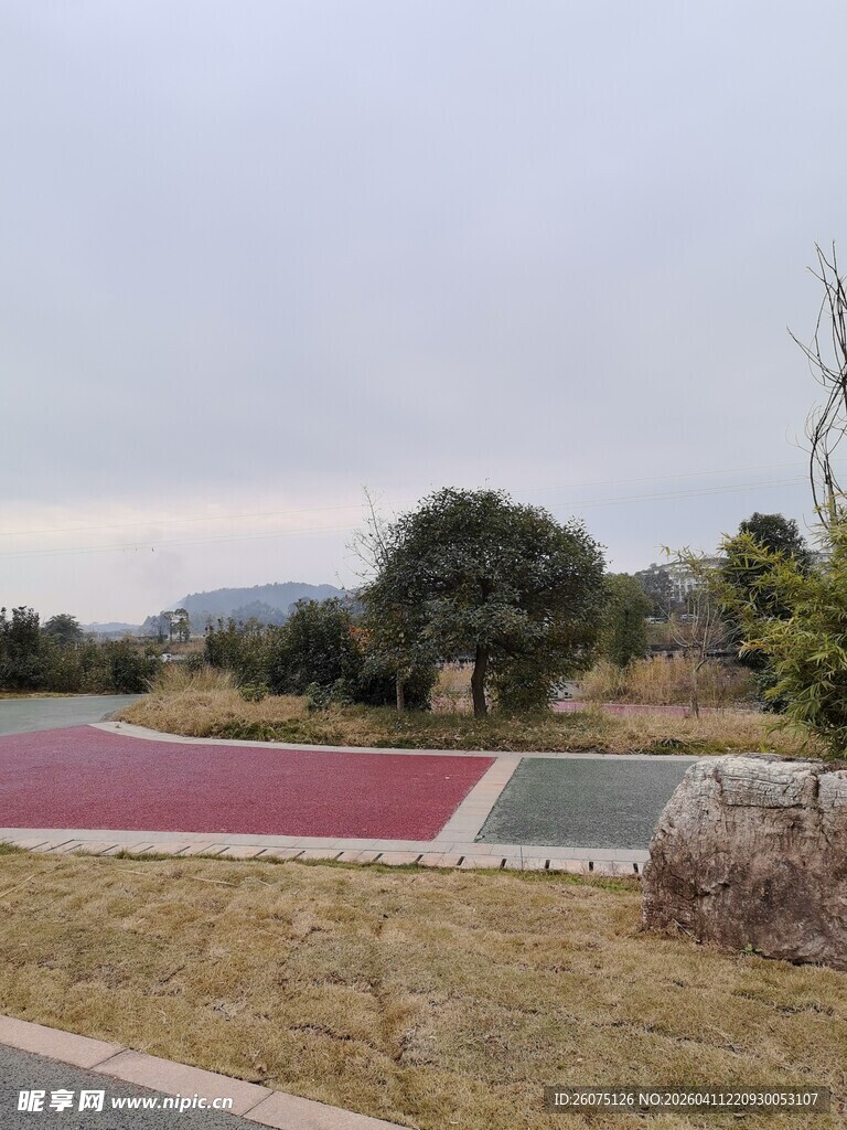 户外多彩场地与绿植景观