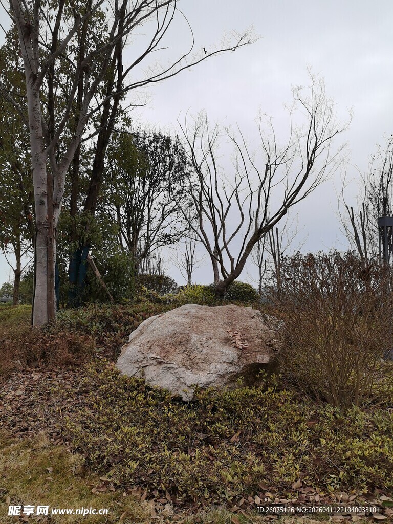 户外荒野中的巨石景观