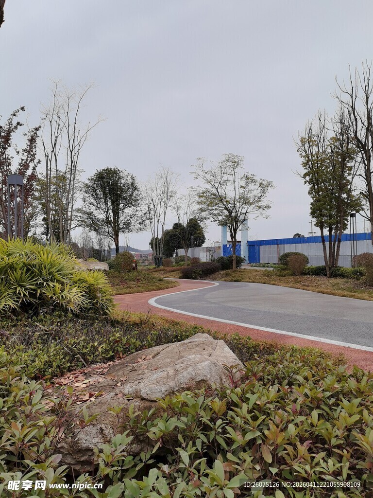 园区道路旁的绿植景观