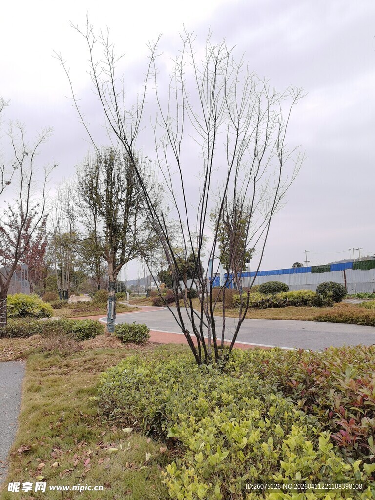 户外路旁绿化景观