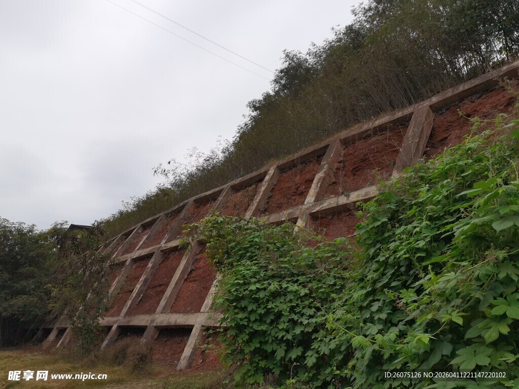 红砖墙面与繁茂绿植景观
