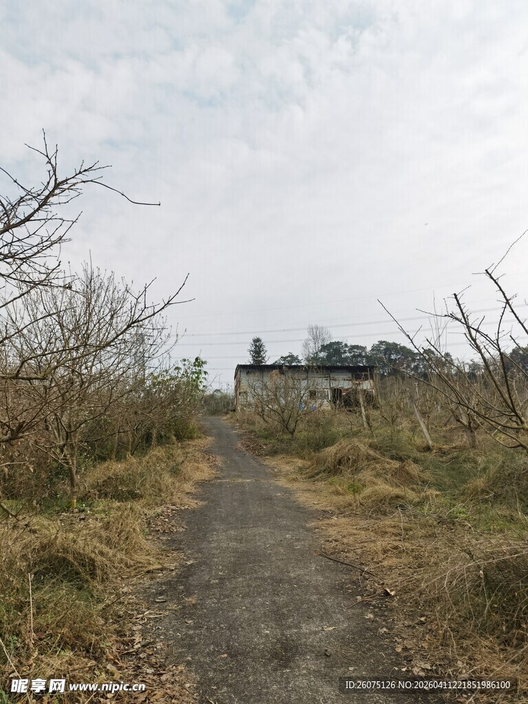 荒野小径通向远方建筑