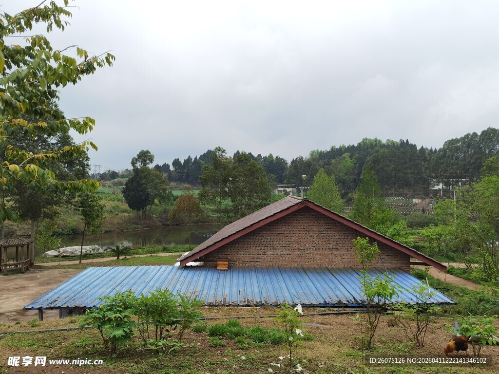 乡村小屋旁的蓝色棚顶