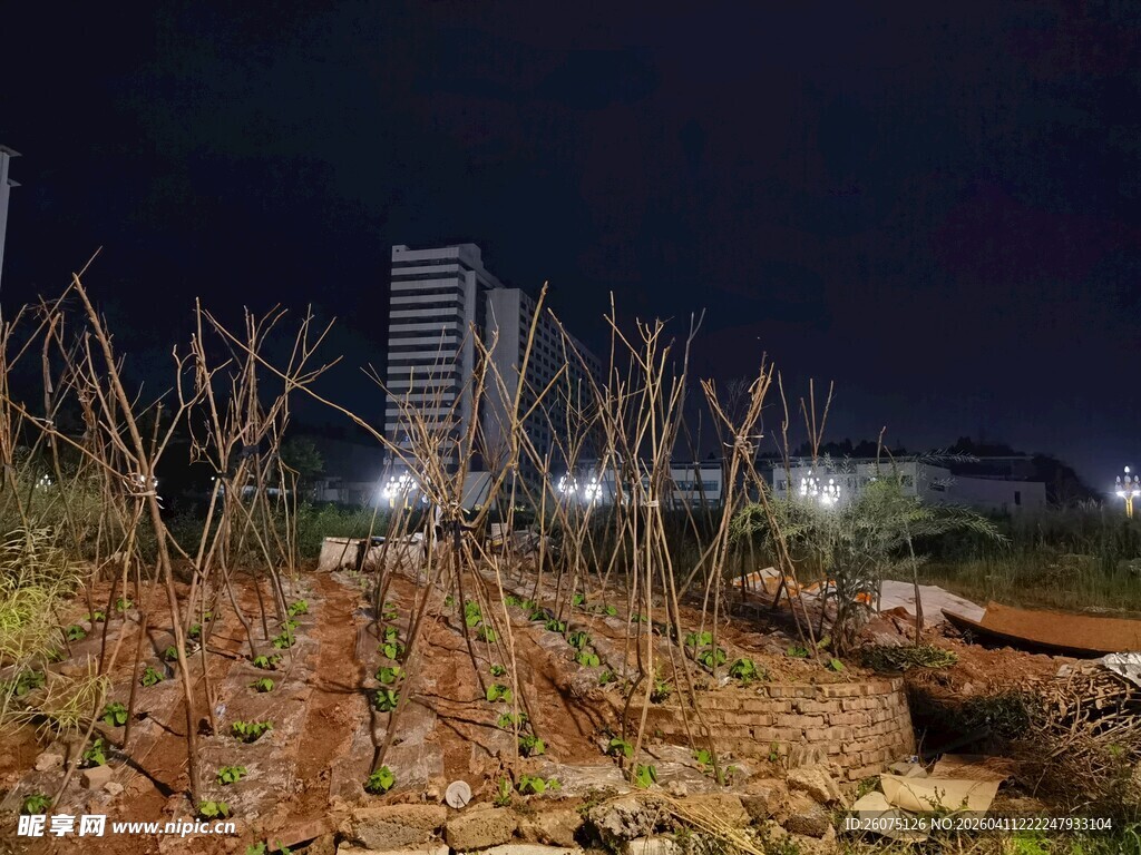 城市荒地夜景
