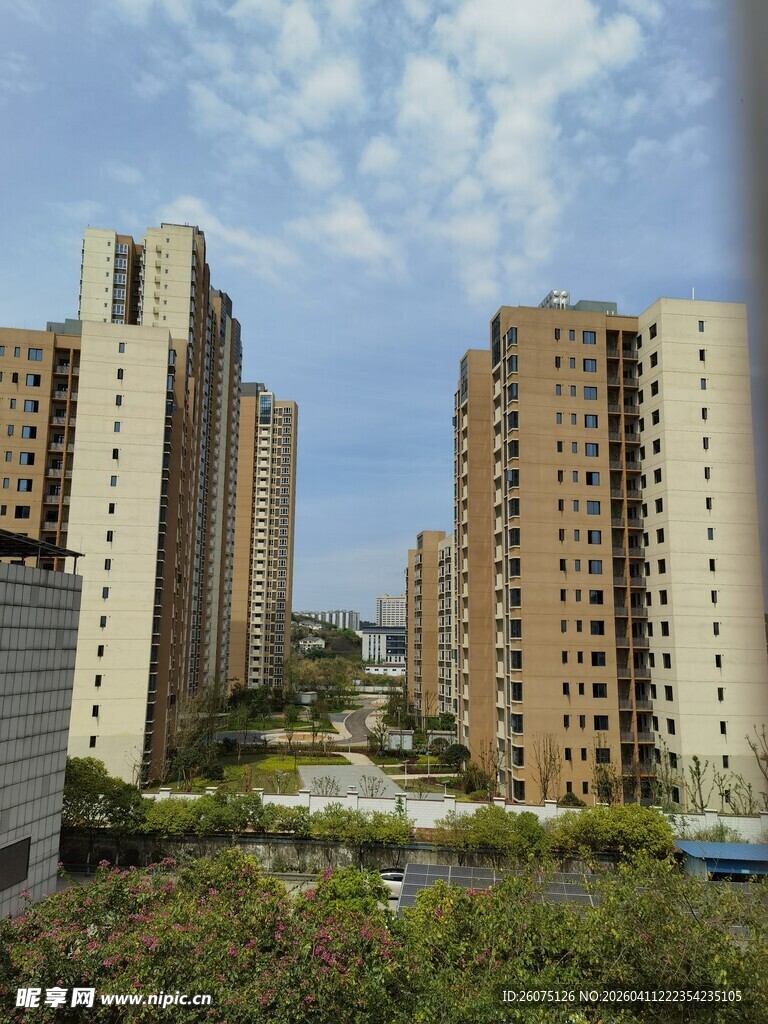 城市高楼与繁茂绿植景观