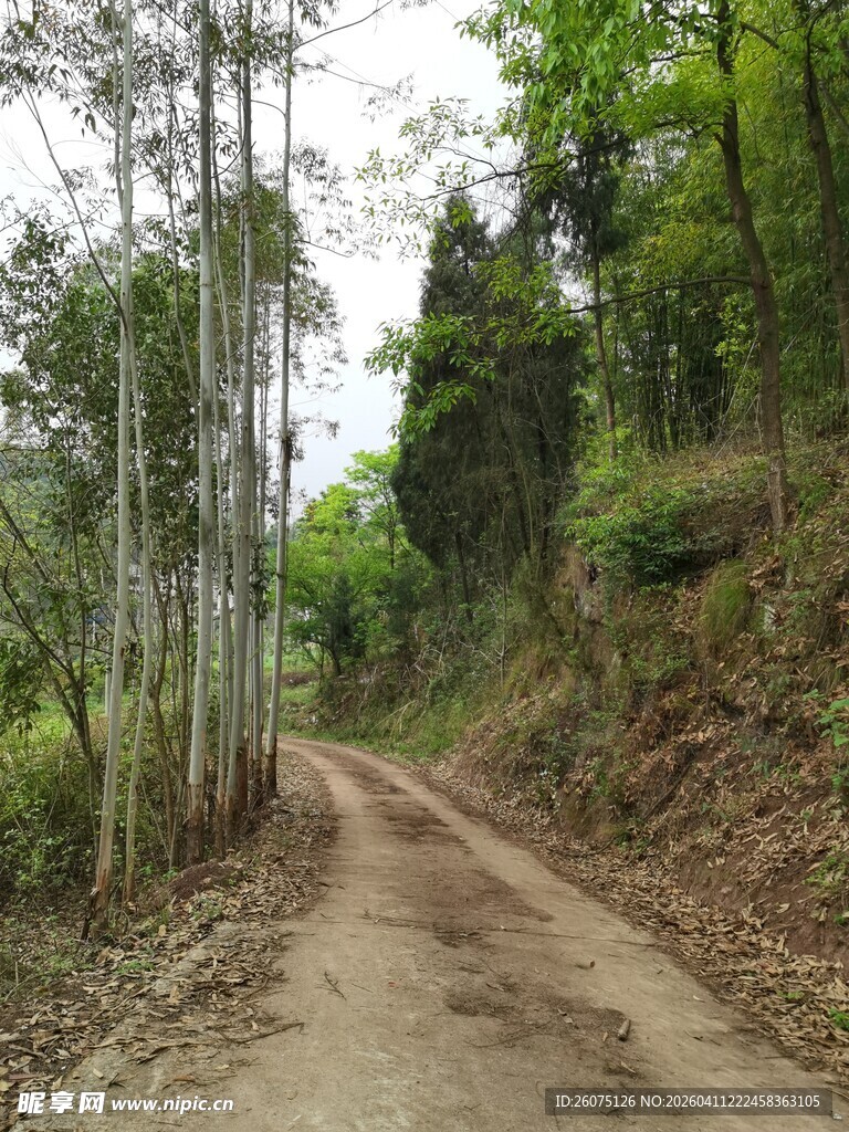 山间土路绿意环绕的小径