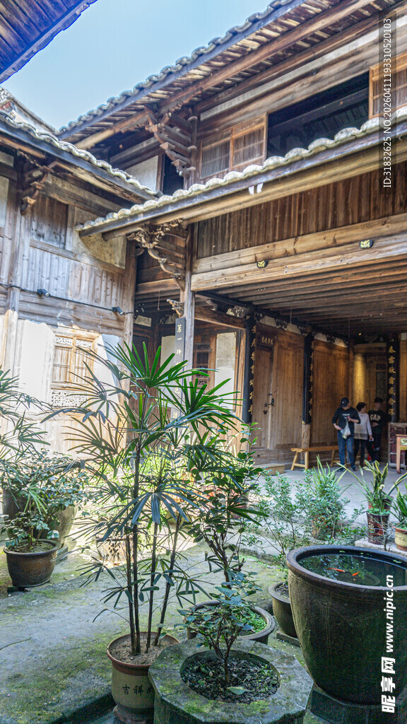 古宅庭院绿植景致