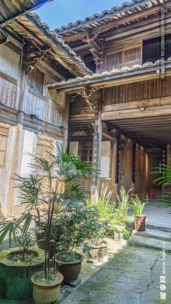 古宅庭院绿植景致