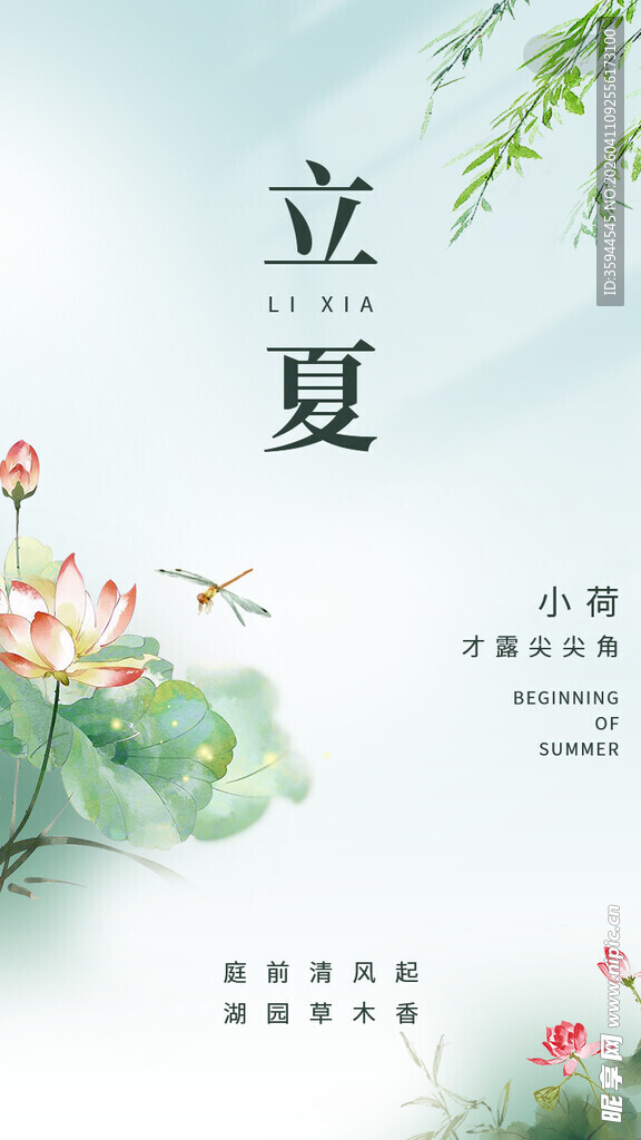 立夏时节清新荷花插画