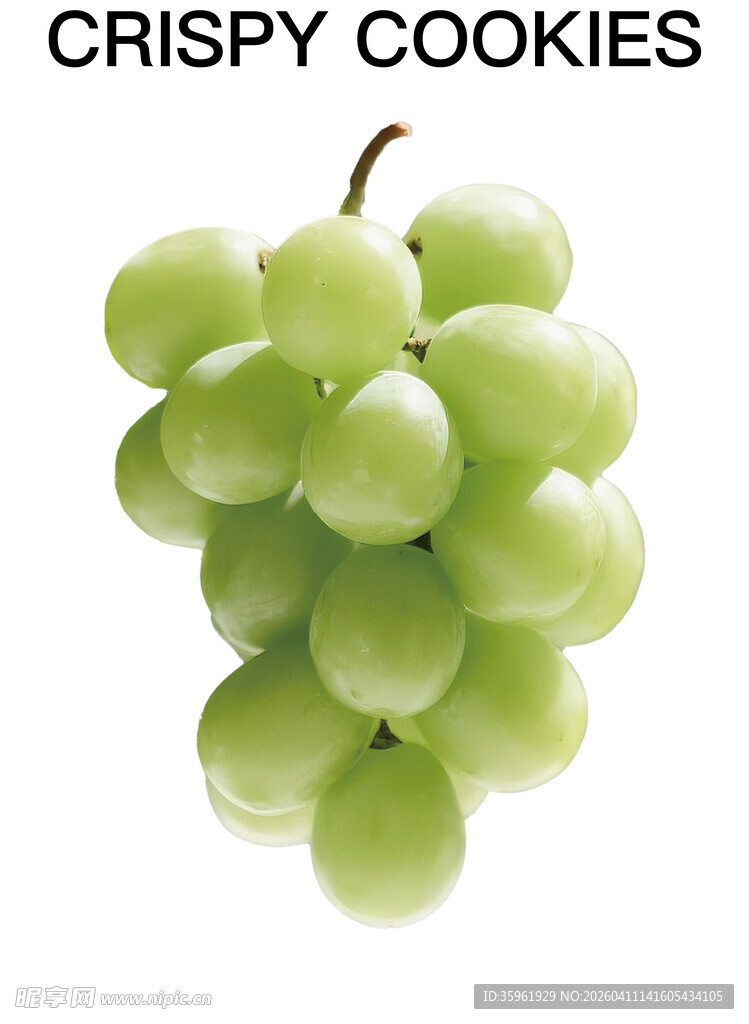 鲜绿葡萄串