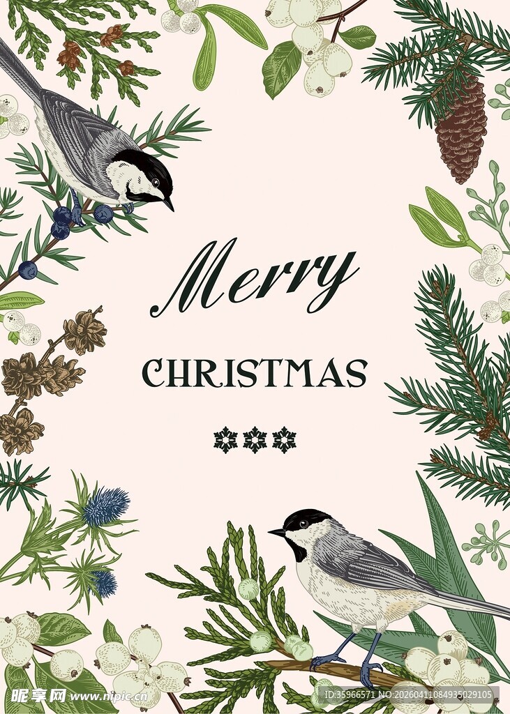 圣诞花鸟装饰图