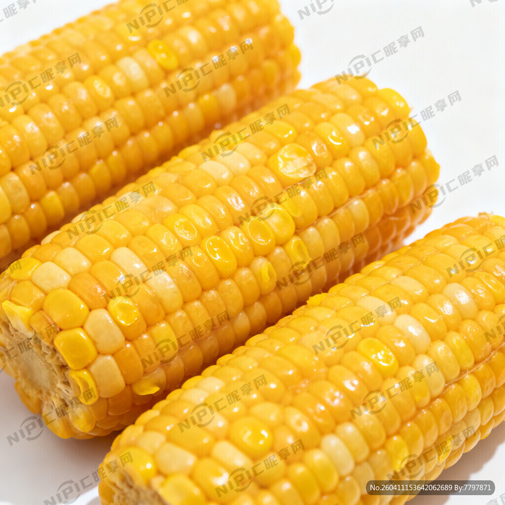 白色底 熟玉米段3个