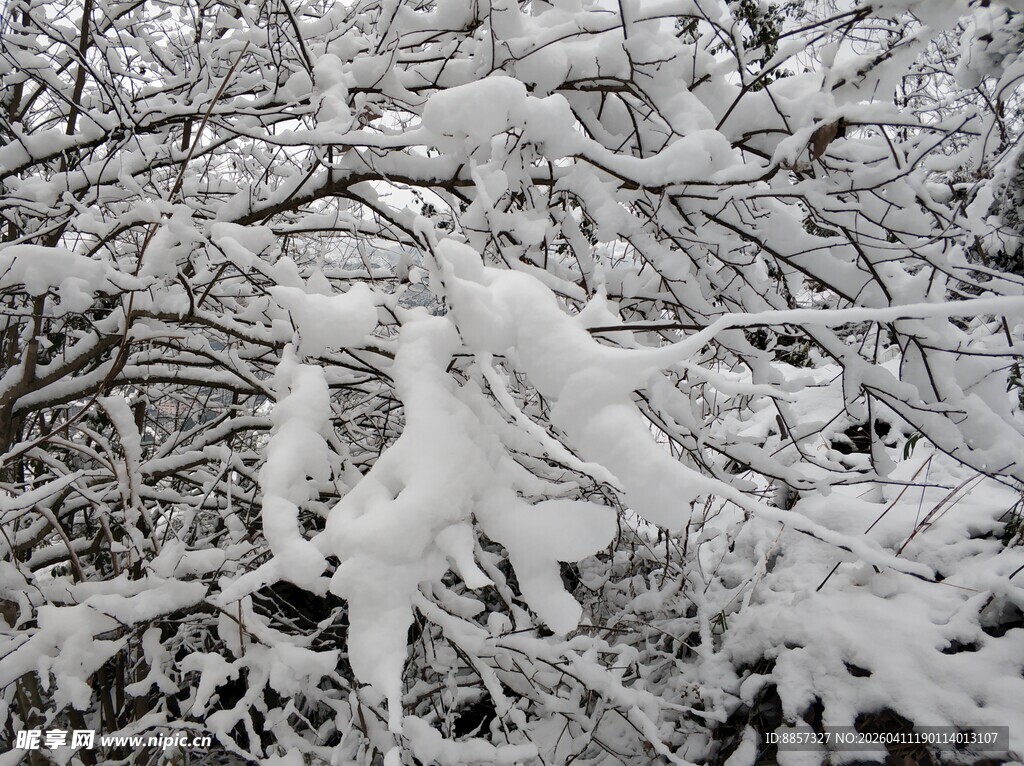 2021年的第一场雪 