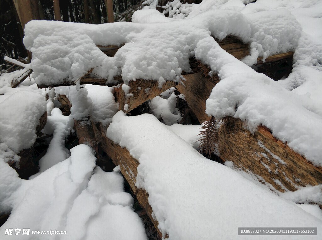 2021年的第一场雪 
