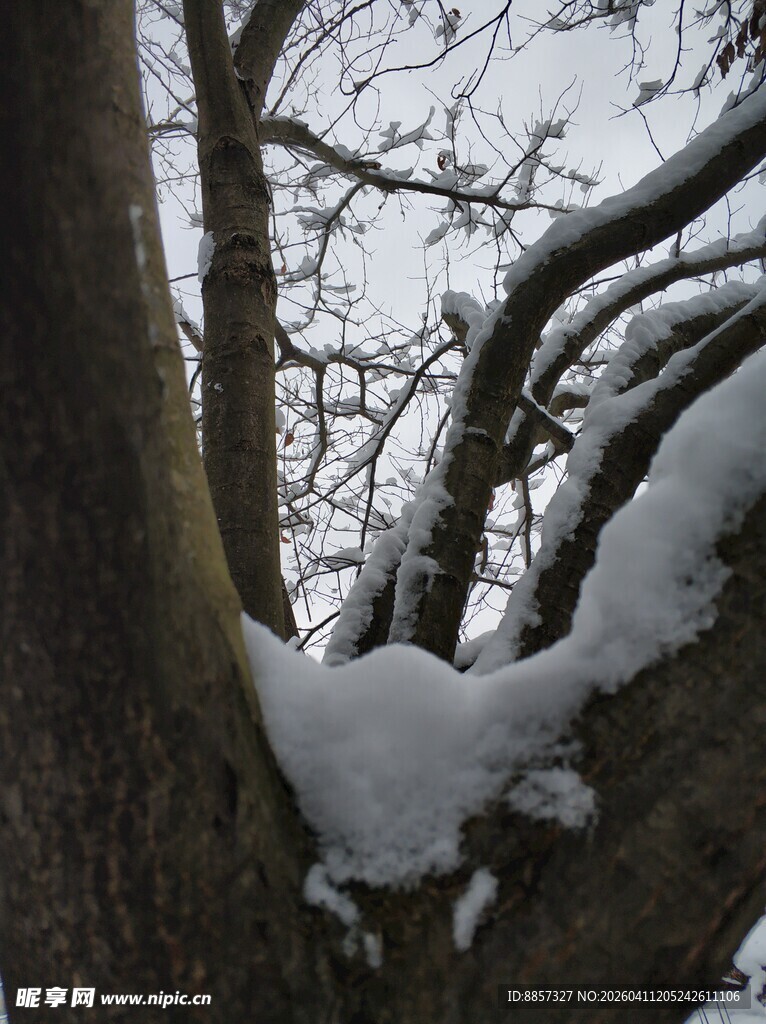 2021年的第一场雪