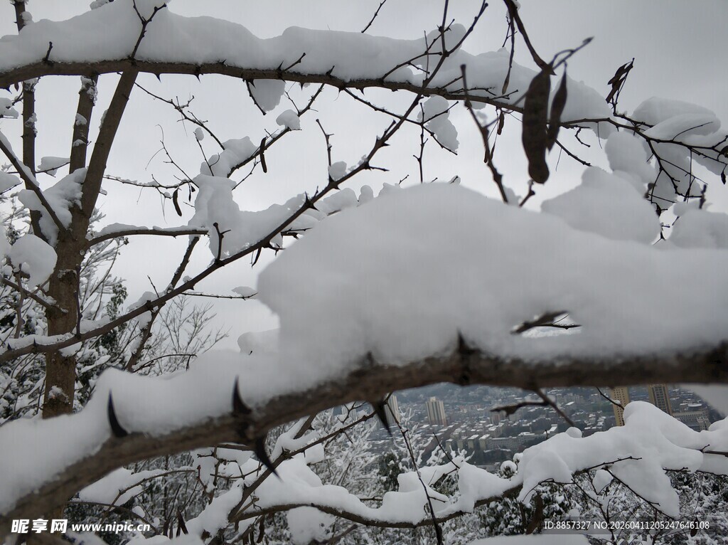 2021年的第一场雪