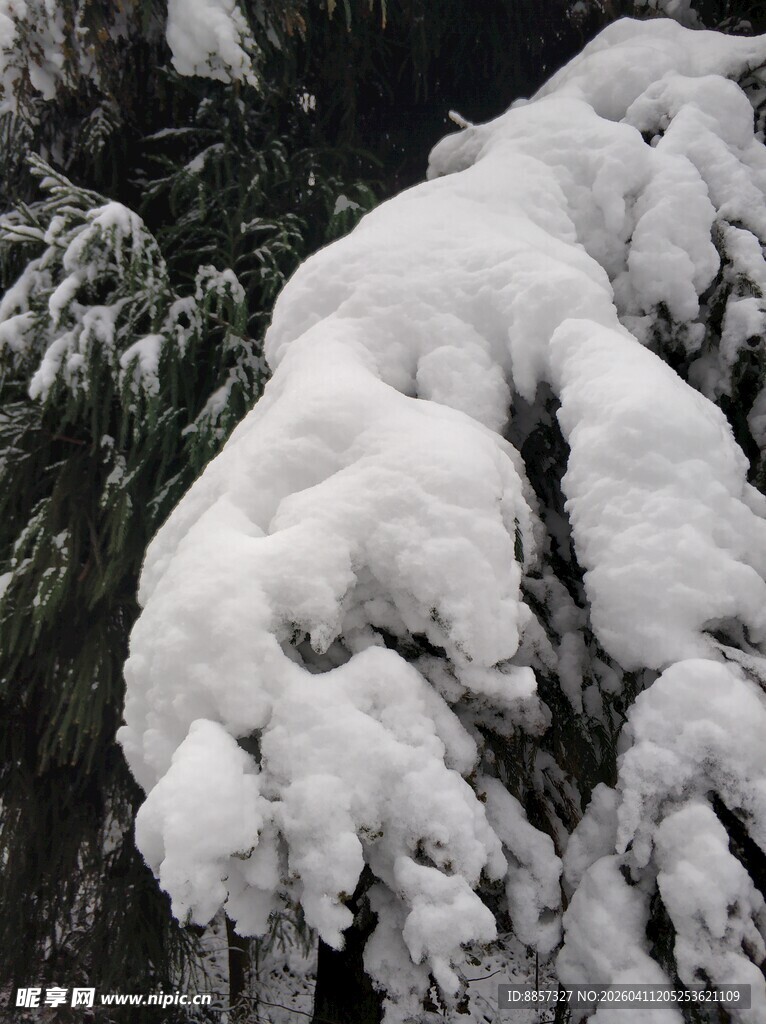 2021年的第一场雪