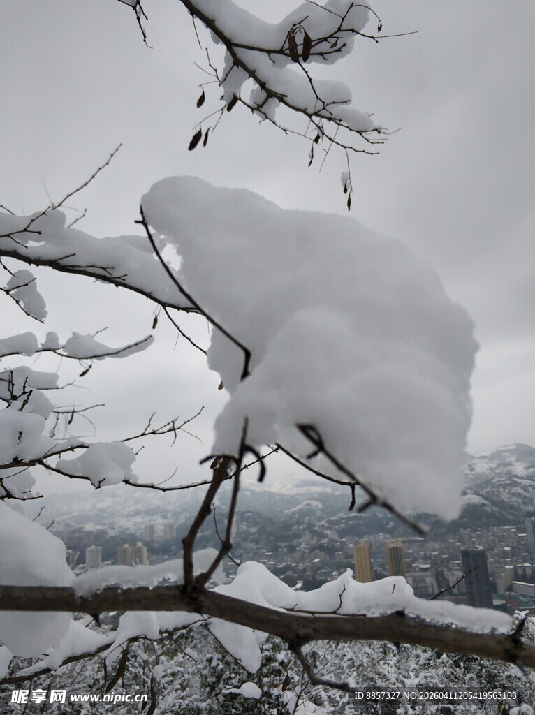 2021年的第一场雪