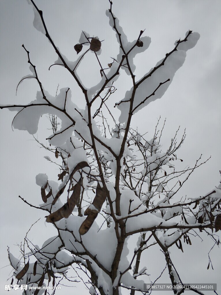 2021年的第一场雪