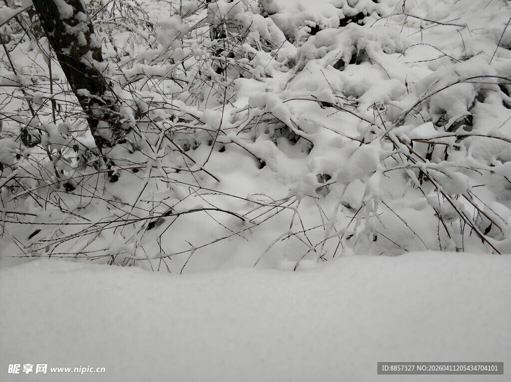 2021年的第一场雪
