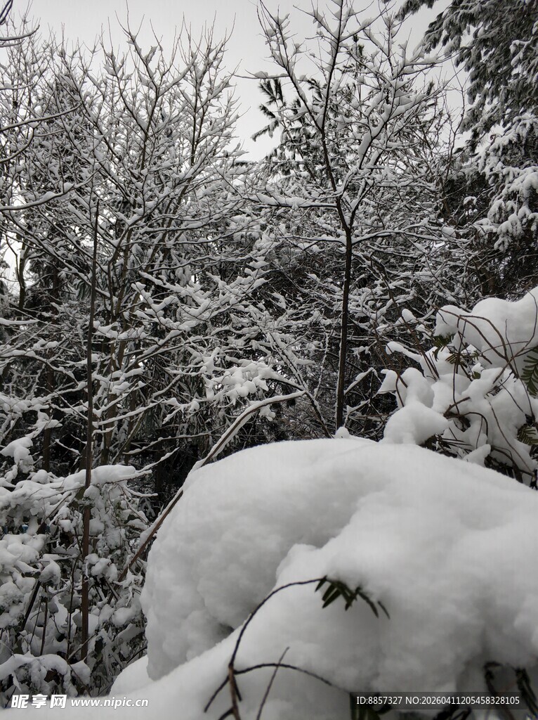 2021年的第一场雪 