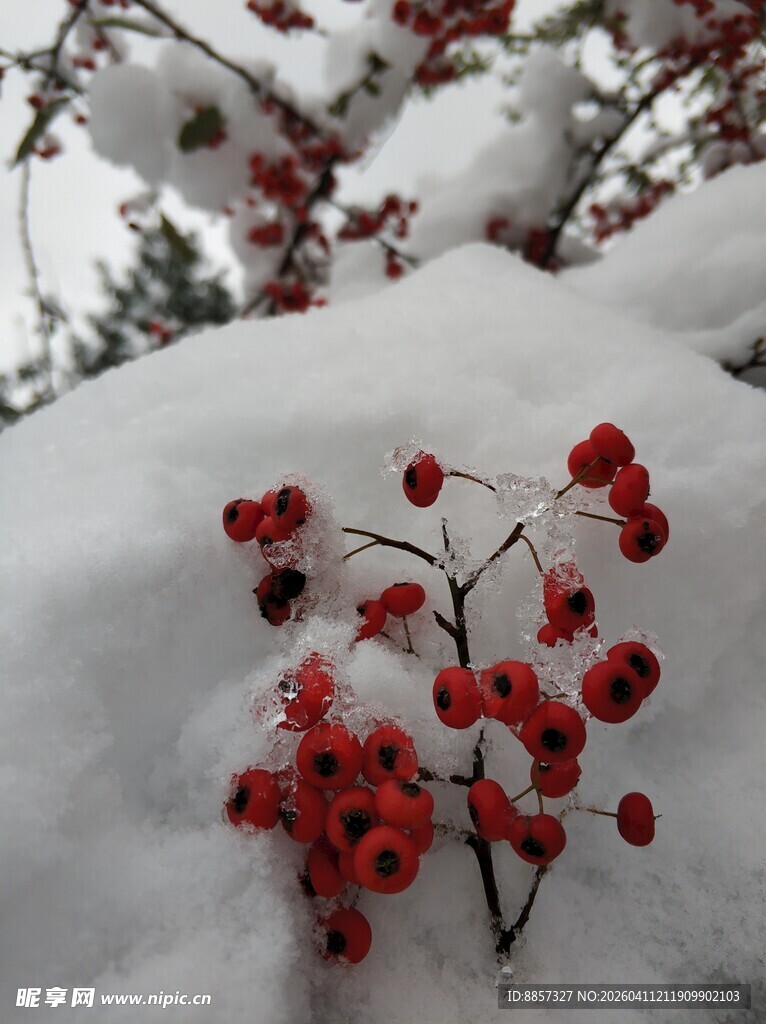 2021年的第一场雪