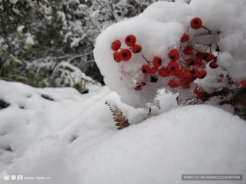 2021年的第一场雪
