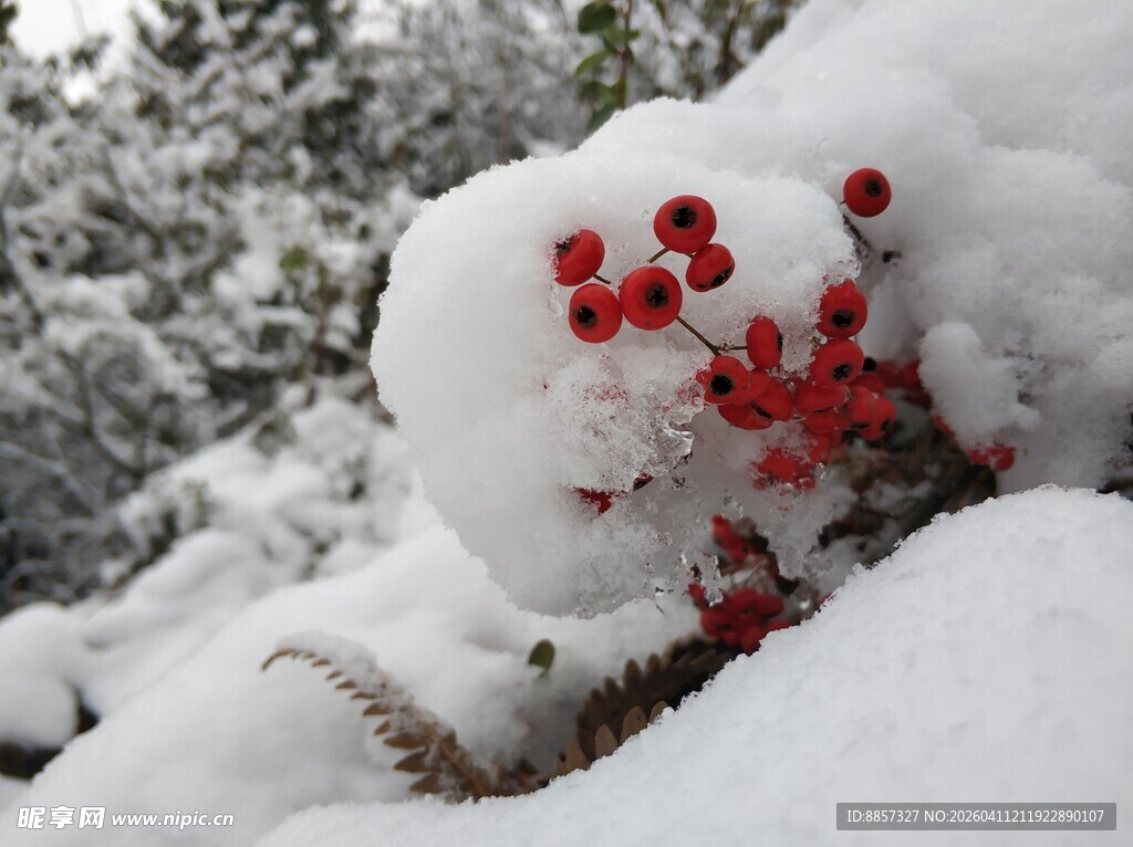 2021年的第一场雪